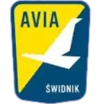 Avia Świdnik Tenis Ziemny